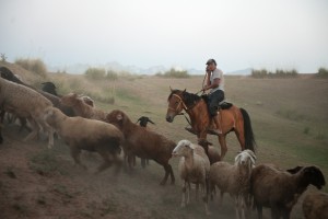 Kyrgyzstan, Jelal-Abad region. Village scene.